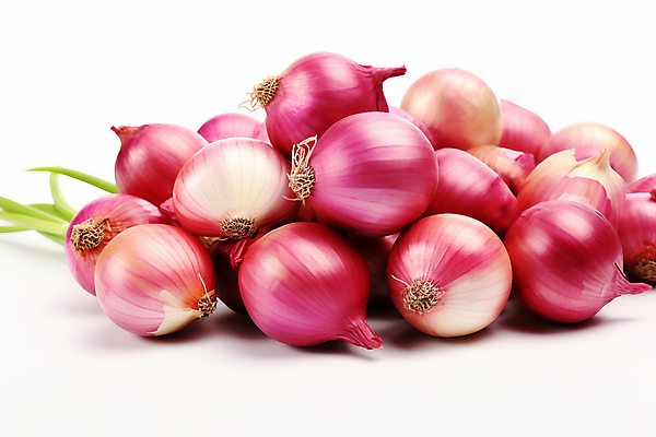 JPG 편집이미지 채소 사람없음 보라색 신선 샬롯 편집실사 AI포토 AI콘텐츠 컬러 양파 CG 파일형식