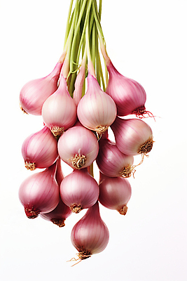 JPG 편집이미지 줄기 채소 사람없음 보라색 신선 샬롯 편집실사 AI포토 AI콘텐츠 식물 컬러 양파 CG 파일형식