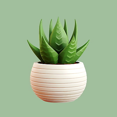 PSD 아이콘 사람없음 3D아이콘 3D 원예 다육식물 식물 취미 디지털합성 파일형식