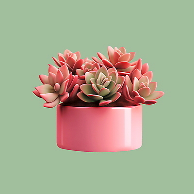 PSD 아이콘 분홍색 사람없음 3D아이콘 3D 원예 다육식물 식물 컬러 취미 디지털합성 파일형식