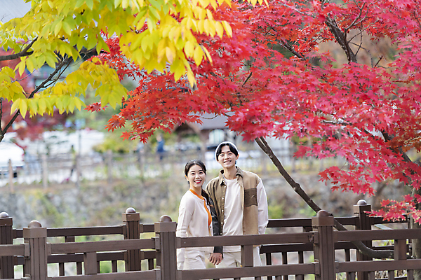 포토 JPG 커플 여자 남자 데이트 단풍나무 휴가 휴식 웃음 풍경 상반신 20대 성인 두명 앞모습 옆모습 울타리 한국인 가을 힐링 데크 단양 성인만 사인암 국내포토 나무 계절 뷰포인트 컨셉 단풍 관계 표정 사람 동양인 청년 담장 충청북도 명승지 파일형식