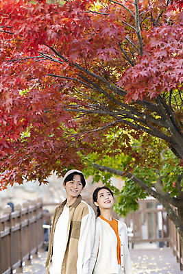 포토 JPG 커플 여자 남자 데이트 단풍나무 휴가 휴식 풍경 상반신 20대 성인 두명 옆모습 한국인 올려보기 등맞대기 가을 힐링 데크 단양 성인만 사인암 국내포토 나무 계절 뷰포인트 컨셉 단풍 관계 모션 사람 동양인 청년 충청북도 명승지 파일형식