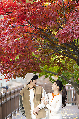 포토 JPG 커플 여자 남자 데이트 단풍나무 휴가 휴식 풍경 상반신 20대 성인 두명 앞모습 마주보기 팔짱 한국인 가을 힐링 데크 단양 성인만 사인암 국내포토 나무 계절 뷰포인트 컨셉 단풍 관계 모션 사람 동양인 청년 충청북도 명승지 파일형식