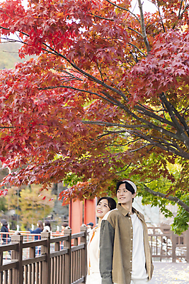 포토 JPG 커플 여자 남자 데이트 단풍나무 휴가 휴식 풍경 상반신 20대 성인 두명 옆모습 울타리 한국인 등맞대기 가을 힐링 단양 성인만 사인암 국내포토 나무 계절 뷰포인트 컨셉 단풍 관계 모션 사람 동양인 청년 담장 충청북도 명승지 파일형식