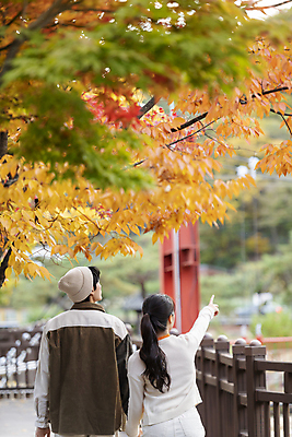 포토 JPG 커플 여자 남자 데이트 단풍나무 휴가 휴식 풍경 상반신 20대 성인 두명 뒷모습 울타리 손잡기 한국인 가을 가리킴 힐링 단양 성인만 사인암 국내포토 나무 계절 뷰포인트 컨셉 단풍 관계 모션 사람 동양인 손짓 청년 담장 충청북도 명승지 파일형식