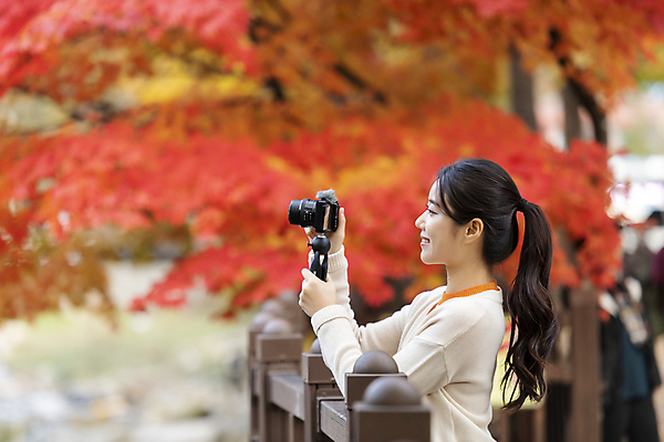 포토 JPG 여자 단풍나무 휴가 휴식 한명 미소 들기 풍경 상반신 20대 성인 옆모습 아웃포커스 울타리 카메라 한국인 가을 힐링 단양 성인여자한명만 브이로그 사인암 영상촬영 국내포토 나무 1 라이프스타일 계절 뷰포인트 컨셉 단풍 모션 촬영기법 표정 사람 동양인 청년 전자제품 담장 촬영 동영상 충청북도 명승지 여자한명만 성인여자만 파일형식