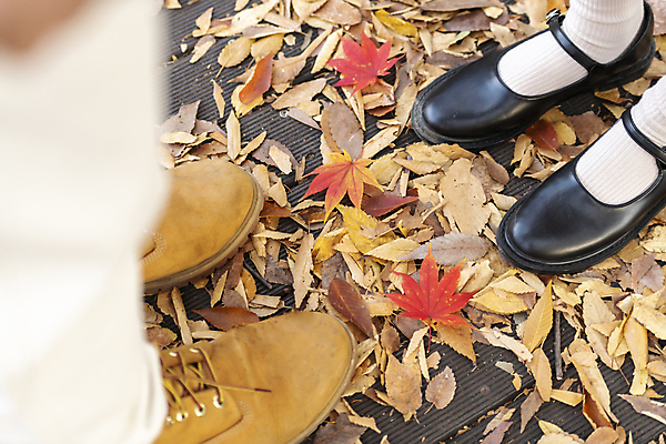 포토 JPG 커플 단풍 낙엽 데이트 발 휴가 휴식 바닥 풍경 근접촬영 신체부위 마주보기 가을 힐링 단양 국내포토 계절 뷰포인트 컨셉 잎 관계 모션 사람 충청북도 파일형식