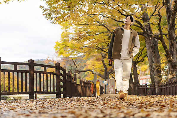 포토 JPG 전신 남자 낙엽 단풍나무 휴가 휴식 한명 들기 풍경 20대 성인 앞모습 울타리 걷기 카메라 한국인 올려보기 가을 주머니손 힐링 단양 성인남자한명만 사인암 국내포토 나무 1 계절 뷰포인트 컨셉 단풍 잎 모션 사람 동양인 청년 전자제품 담장 충청북도 명승지 남자한명만 성인남자만 파일형식