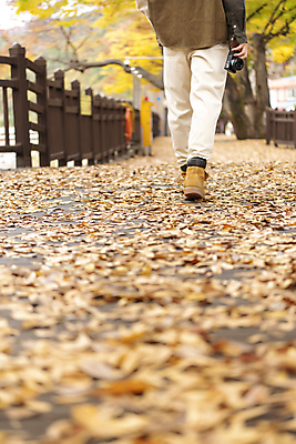 포토 JPG 남자 단풍 낙엽 휴가 휴식 한명 들기 풍경 20대 성인 뒷모습 울타리 걷기 카메라 한국인 하반신 가을 다리 힐링 단양 성인남자한명만 국내포토 1 계절 뷰포인트 컨셉 잎 모션 사람 동양인 청년 신체부위 전자제품 담장 충청북도 남자한명만 성인남자만 파일형식