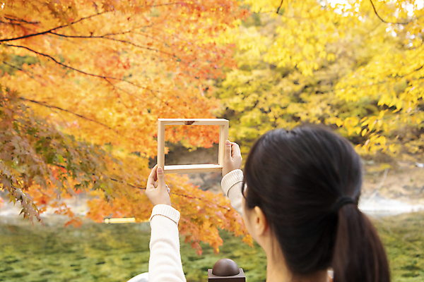 포토 JPG 여자 액자 단풍나무 휴가 휴식 프레임 액자틀 한명 들기 풍경 상반신 20대 성인 뒷모습 계곡 한국인 가을 힐링 단양 성인여자한명만 사인암 국내포토 나무 1 계절 뷰포인트 컨셉 단풍 모션 틀 사람 동양인 청년 충청북도 명승지 여자한명만 성인여자만 파일형식