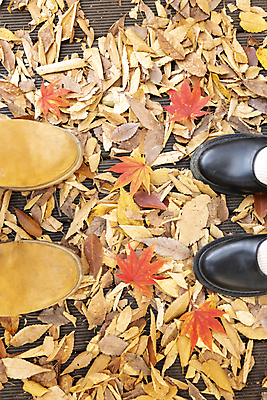 포토 JPG 커플 신발 단풍 낙엽 데이트 발 휴가 휴식 바닥 풍경 신체부위 가을 땅 힐링 단양 국내포토 계절 컨셉 잎 관계 사람 충청북도 파일형식