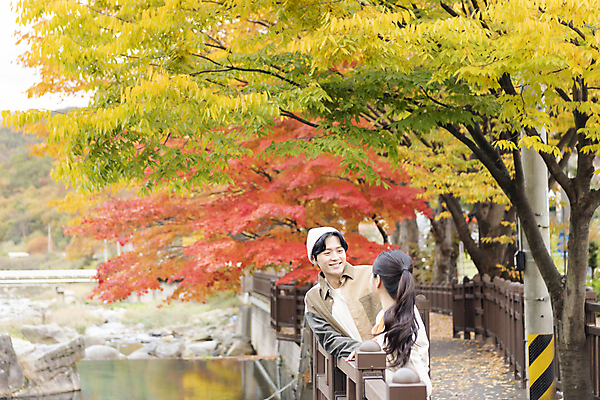 포토 JPG 커플 여자 남자 데이트 단풍나무 휴가 휴식 미소 풍경 상반신 20대 성인 두명 앞모습 옆모습 울타리 마주보기 카메라 기댐 한국인 가을 힐링 데크 단양 성인만 사인암 국내포토 나무 계절 뷰포인트 컨셉 단풍 관계 모션 표정 사람 동양인 청년 전자제품 담장 충청북도 명승지 파일형식