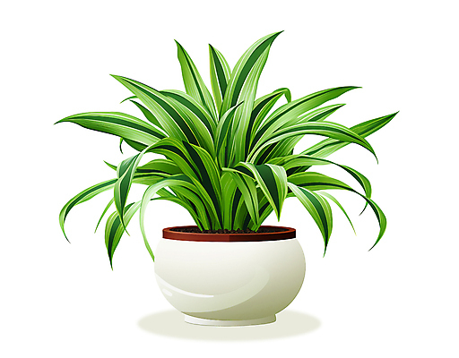 PSD 화분 잎 일러스트 사람없음 초록색 오브젝트 원예 접란 국내일러스트 식물 컬러 취미 파일형식