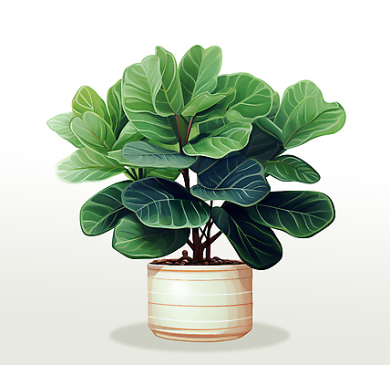 PSD 화분 잎 일러스트 사람없음 초록색 오브젝트 원예 고무나무 국내일러스트 나무 식물 컬러 취미 파일형식