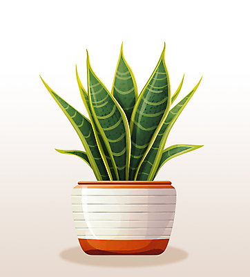 PSD 화분 잎 일러스트 선인장 사람없음 초록색 오브젝트 원예 산세베리아 국내일러스트 식물 컬러 취미 파일형식