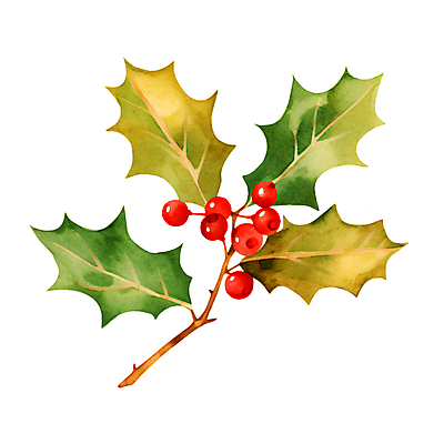 JPG 열매 크리스마스 겨울 일러스트 나뭇잎 수채화 사람없음 초록색 오브젝트 호랑가시나무열매 국내일러스트 AI일러스트 AI콘텐츠 식물 계절 기념일 컬러 잎 파일형식