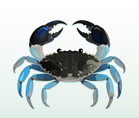 PSD 일러스트 식재료 요리 사람없음 파란색 꽃게 게 해산물 이슈 국내일러스트 컬러 갑각류 파일형식
