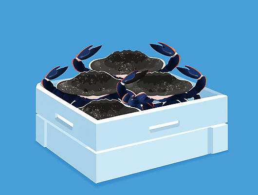 PSD 일러스트 식재료 요리 사람없음 파란색 상자 꽃게 게 해산물 담기 아이스박스 이슈 국내일러스트 컬러 모션 갑각류 파일형식
