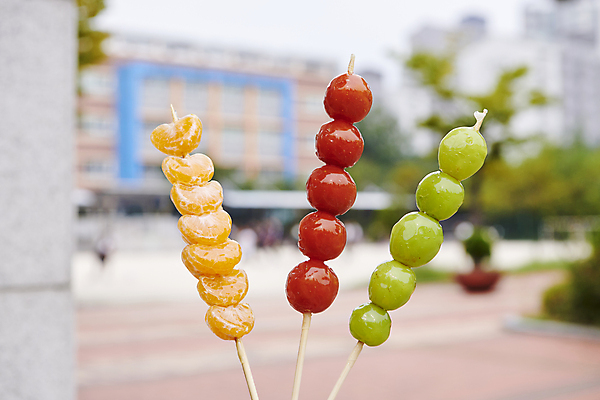 포토 JPG 방울토마토 디저트 귤 사람없음 야외 아웃포커스 꼬치 달콤 설탕 기호식품 길거리음식 탕후루 망고포도 국내포토 음식 토마토 과일 촬영기법 간식 맛 청포도 파일형식