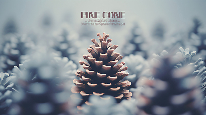 PSD 편집이미지 백그라운드 겨울 사람없음 파란색 솔방울 블러효과 이미지편집 계절 컬러 블러 파일형식 효과