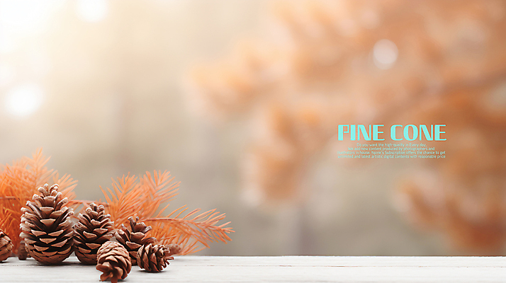 PSD 편집이미지 백그라운드 낙엽 사람없음 가을 풀잎 솔방울 블러효과 이미지편집 계절 잎 풀_식물 블러 파일형식 효과