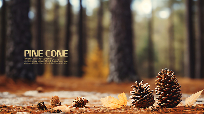 PSD 나무 편집이미지 백그라운드 바닥 사람없음 가을 숲속 숲 땅 솔방울 블러효과 이미지편집 식물 계절 블러 파일형식 효과