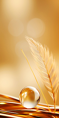 JPG 편집이미지 세로배너 사람없음 금색 물방울 원형 깃털 디지털합성 결 카피스페이스 편집실사 AI컴퓨터그래픽 AI콘텐츠 도형 배너 컬러 무늬 세로 공백 CG 파일형식