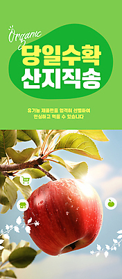 PSD 편집이미지 자연 사람없음 연두색 햇빛 농장 수확 신선 사과 직거래 산지직송 이미지편집 농업 과일 초록색 태양 거래 배송 생태계 파일형식 직송