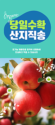 PSD 편집이미지 자연 사람없음 햇빛 농장 수확 신선 사과 민트색 직거래 산지직송 이미지편집 컬러 농업 과일 태양 거래 배송 생태계 파일형식 직송