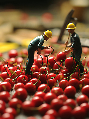 JPG 편집이미지 농업 풍경 사람없음 미니어처 수확 체리 디지털합성 편집실사 AI포토 AI콘텐츠 산업 과일 모형 CG 파일형식