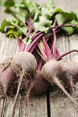 포토 JPG 해외이미지 음식 백그라운드 잎 겨울 다이어트 채소 재료 자연 탁자 건강 요리 사람없음 목재 빨간색 초록색 여름 농장 갈색 정원 보라색 샐러드 수확 가을 시골 침대 신선 닫기 수프 다발 유기농 날것 뿌리 성분 밭일 비트 채식주의자 해외202310 해외포토 나무 식물 웰빙 계절 컬러 가구 농업 모션 생태계 채식 파일형식