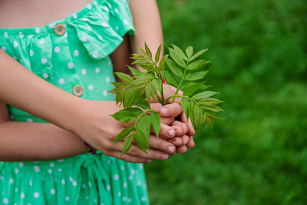 포토 JPG 해외이미지 나무 식물 손 배너 꽃 어린이 음식 백그라운드 컨셉 꽃무늬 농업 가족 자연 새로움 주택 관리 사랑 씨앗 사람 사람없음 초록색 물 환경 정원 흙 수확 성장 아기 신선 잡기 먼지 땅바닥 모종 생태학 해외202310 해외포토 자연요소 교육 감정 산업 컬러 무늬 관계 모션 바닥 건물 신체부위 생태계 파일형식