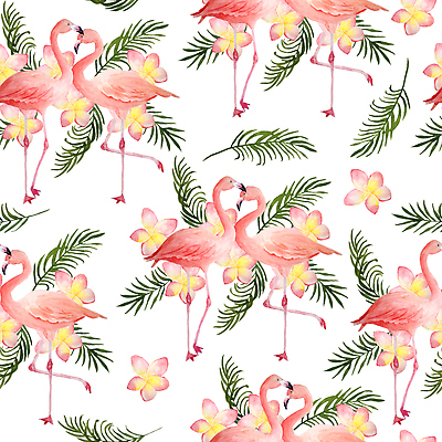 포토 JPG 해외이미지 나무 식물 동물 디자인 커플 꽃 야생동물 분홍색 결혼 잎 꽃무늬 패턴 일러스트 자연 조류 휴가 손바닥 사랑 서기 사람없음 장식 초록색 컬러풀 유행 인쇄 열대우림 플라밍고 하와이 고립 엘리먼트 이국적 파라다이스 하와이인 해외202310 해외일러스트 외국인 손 감정 컬러 무늬 관계 모션 이벤트 미국 숲 생태계 파일형식