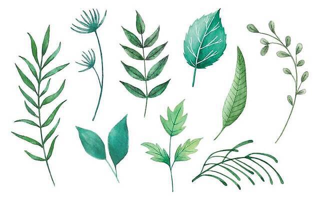 EPS 해외이미지 나무 식물 디자인 꽃 컬러 결혼 백그라운드 잎 꽃무늬 패턴 일러스트 자연 미술 장식 초록색 컬러풀 뷰티 정원 봄 수확 나뭇가지 시골 신선 수집 허브 그림 질감 초대 내추럴 고립 생태학 엘리먼트 벡터 그리너리 해외202310 해외일러스트 계절 교육 무늬 농업 문화예술 이벤트 생태계 파일형식 트랜드컬러