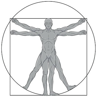 EPS 해외이미지 모양 남자 문화 무기 얼굴 선 스포츠 올림픽 패턴 신체 일러스트 해부 근육 유물 건강 사람 숫자 약 머리 교수 이탈리아 원형 역사 클래식 로마 스케치 그림 박물관 정사각형 르네상스 양피지 완벽 벡터 해외202310 해외일러스트 도형 문자 전통 유럽 컨셉 무늬 의학 미술 신체부위 교사 파일형식