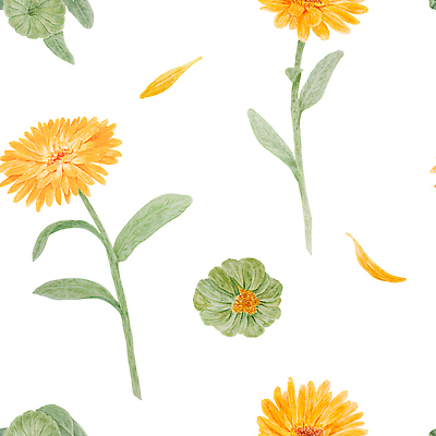 포토 JPG 해외이미지 클립아트 식물 꽃잎 꽃 포스터 결혼 백그라운드 꽃무늬 패턴 오렌지 일러스트 자연 해바라기 미술 사람없음 치료 약 노란색 정원 화장품 들꽃 직물 인쇄 스케치 약국 꽃집 허브 그림 에코 데이지 초대 화단 손그림 거베라 아로마테라피 금잔화 고립 엘리먼트 캐모마일 현실 국경 해외202310 해외일러스트 컬러 무늬 과일 의학 문화예술 이벤트 뷰티 환경 상점 생태계 테라피 파일형식