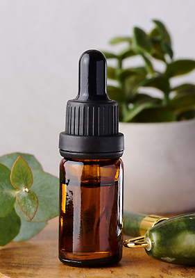 포토 JPG 해외이미지 화분 화초 잎 사람없음 뷰티 화려 피부관리 아로마테라피 공병 마사지롤러 에센스 해외202310 해외포토 식물 컨셉 화장품 테라피 병_담는 파일형식