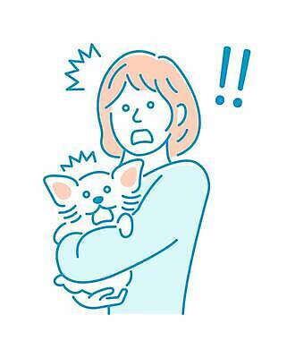 EPS 해외이미지 동물 라이프스타일 여자 행복 감정 일러스트 포유류 가족 관계 포옹 놀이 한국 함께함 사랑 미소 사람 동양인 친구 반려동물 귀여움 일본 중국 놀람 우정 기쁨 잡기 개 충격 주인 고립 기르기 돌봄 해외202310 해외일러스트 아시아 컨셉 안기 모션 표정 인종 생활 파일형식 벡터