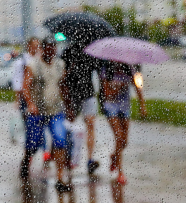 포토 JPG 해외이미지 주간 계절 실루엣 백그라운드 패턴 우산 창문 자연 유리 표면 날씨 추상 사람 사람없음 물 걷기 환경 습기 젖음 추위 가을 투명 액체 그룹 보행자 떨어짐 소프트포커스 예측 빗방울 질감 폭풍 온도 기후변화 뇌우 해외202310 해외포토 자연요소 컨셉 무늬 모션 재질 촬영기법 비_날씨 변화 생태계 파일형식
