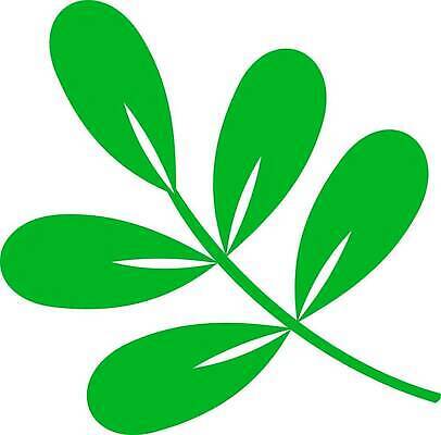 EPS 해외이미지 나무 식물 계절 실루엣 백그라운드 컨셉 잎 꽃무늬 일러스트 자연 추상 미술 그래픽 초록색 환경 정원 검은색 활발 성장 나뭇가지 숲 심볼 사인 에코 유기농 내추럴 아카시아 고립 돌봄 생태학 엘리먼트 스타일 벡터 해외202310 해외일러스트 웰빙 교육 꽃 컬러 무늬 모션 문화예술 촬영기법 생태계 파일형식