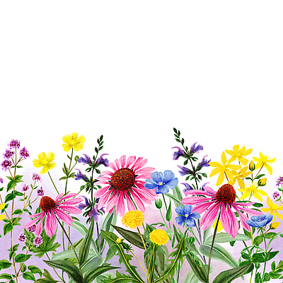 포토 JPG 해외이미지 식물 손 디자인 꽃 분홍색 컬러 백그라운드 잎 꽃무늬 패턴 밭 일러스트 자연 프레임 미술 사람없음 장식 노란색 정원 봄 줄무늬 수확 벚꽃 나뭇가지 악단 신용카드 가장자리 우아함 숲 허브 복고 백리향 세이지 국경 해외202310 해외일러스트 나무 계절 음악 컨셉 무늬 농업 문화예술 신체부위 금융 둘레 생태계 파일형식