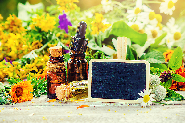 포토 JPG 해외이미지 꽃 유리병 사람없음 빛 칠판 약초 카피스페이스 해외202310 해외포토 식물 병_용기 공백 풀_식물 파일형식