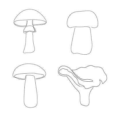 EPS 해외이미지 식물 손 디자인 계절 실루엣 별 선 음식 컬러 백그라운드 꽃무늬 채소 일러스트 재료 자연 미술 세트 검은색 버섯 굴 흰색 그리기 낙서 숲 만화 스케치 심볼 사인 유기농 날것 윤곽 손그림 고립 곰팡이 식용 엘리먼트 캡모자 벡터 비건 해외202310 해외일러스트 자연요소 모자_잡화 웰빙 꽃 무늬 모션 문화예술 어패류 촬영기법 신체부위 생태계 채식주의자 파일형식