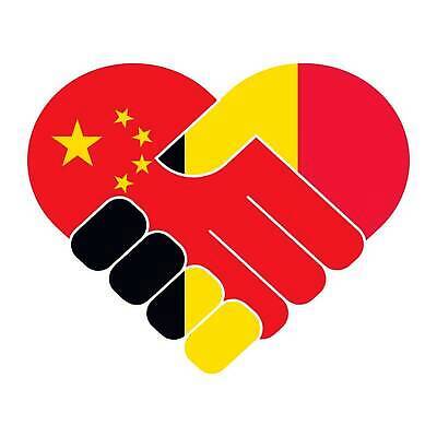 EPS 해외이미지 손 디자인 컨셉 일러스트 손가락 추상 협력 친절 악수 함께함 발렌타인데이 사랑 평화 중국 희망 우정 깃발 인사 잡기 도움 심볼 주기 전쟁 벨기에 떨림 고립 전국 지원 헬프 벡터 자선단체 해외202310 해외일러스트 감정 아시아 무늬 모션 데이이벤트 손짓 신체부위 친구 예절 그룹 서유럽 자선 파일형식