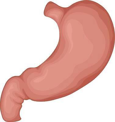 EPS 해외이미지 디자인 포스터 과학 백그라운드 신체 일러스트 해부 근육 건강 병원 사람 내부 그래픽 약 3D 고통 의사 흰색 오르간 실험실 플랫 질병 먹기 심볼 생물학 가스 시스템 문제 외과 망사 고립 돌봄 벡터 현실 해외202310 해외일러스트 교육 감정 컬러 의학 모션 실험 의료진 직물 건반악기 디지털합성 파일형식