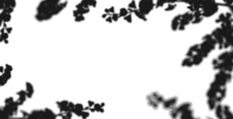 포토 JPG 해외이미지 식물 계절 꽃잎 꽃 분홍색 백그라운드 꽃무늬 자연 사람없음 장식 뷰티 3D 일본 고요 봄 벚꽃 흰색 나뭇가지 신선 개화 체리 4월 동쪽 고립 해외202310 해외포토 나무 아시아 컬러 무늬 과일 날짜 방향 디지털합성 생태계 파일형식