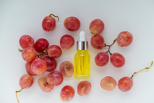 포토 JPG 해외이미지 백그라운드 자연 포도 사람없음 아웃포커스 뷰티 신선 오일 내추럴 해외202310 해외포토 음식 과일 촬영기법 화장품 생태계 파일형식