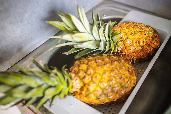 포토 JPG 해외이미지 라이프스타일 손 포즈 아파트 주택 건강 가면 안전 사람없음 초록색 물 노란색 주방 젖음 욕실 바이러스 떨어짐 보호 위생 씻기 질병 파인애플 싱크대 예방 감염 전염 비누 고무 아보카도 위생관리 재채기 전염병 파파야 스플래쉬 코로나바이러스 해외202310 해외포토 자연요소 컬러 컨셉 과일 의학 관리 건물 생활 신체부위 위생용품 청결 열대과일 개수대 파일형식