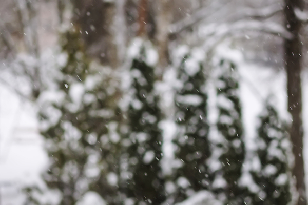 포토 JPG 해외이미지 디자인 계절 컬러 백그라운드 크리스마스 겨울 패턴 자연 하늘 날씨 추상 휴가 새로움 사람없음 장식 파란색 빛 반짝임 뷰티 얼음 회색 흰색 원형 은색 소프트포커스 질감 서리 보케 부드러움 마법 눈보라 광 블러 폭설 효과 깜빡이다 해외202310 해외포토 자연요소 도형 기념일 컨셉 무늬 모션 눈_날씨 촬영기법 감각 자연재해 생태계 파일형식