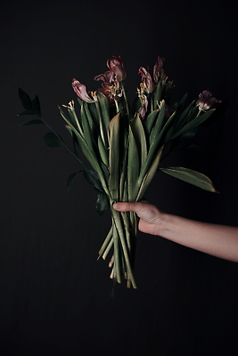 포토 JPG 해외이미지 손 계절 여자 기념일 꽃잎 꽃 분홍색 꽃다발 백그라운드 꽃무늬 손가락 자연 휴가 발렌타인데이 건강 선물 사랑 사람없음 장식 초록색 뷰티 유행 정원 보라색 봄 화장품 낭만 벚꽃 신선 잡기 플랫 상품 정상 손톱관리 피부 주기 유기농 팔 내추럴 고립 돌봄 해외202310 해외포토 식물 웰빙 감정 컬러 컨셉 무늬 모션 데이이벤트 사람 이벤트 신체부위 네일아트 생태계 파일형식